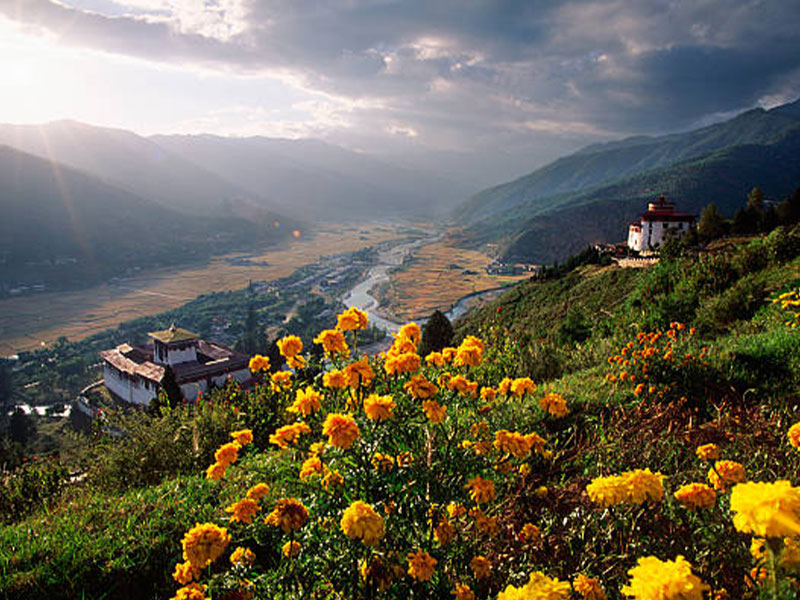 Anniversary Renewal Journey