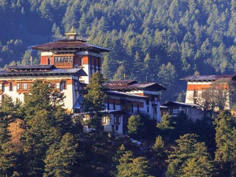 Anniversary Renewal Journey