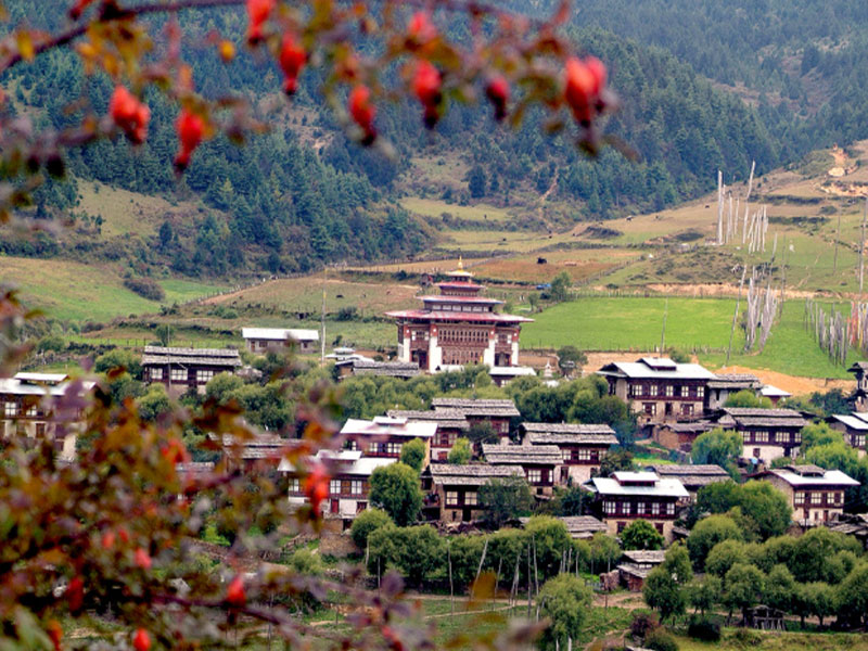 Anniversary Renewal Journey