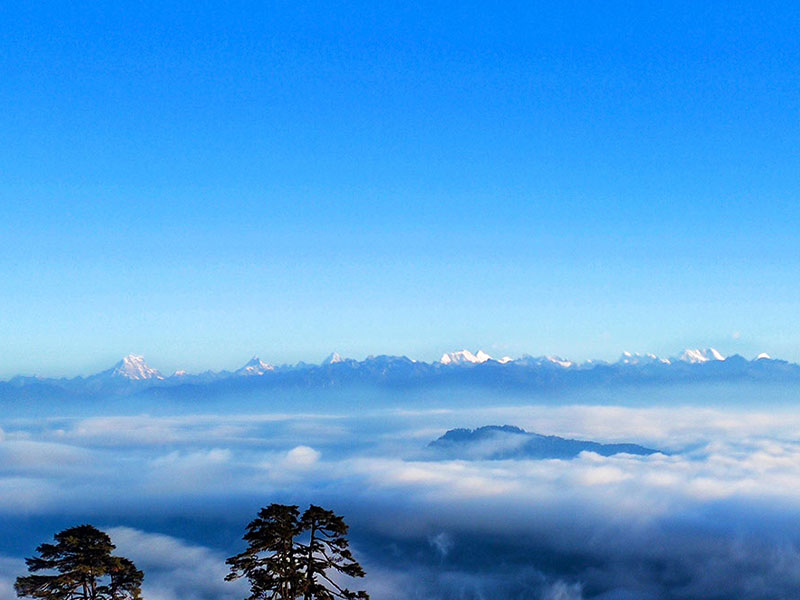 Marriage Celebration Journey