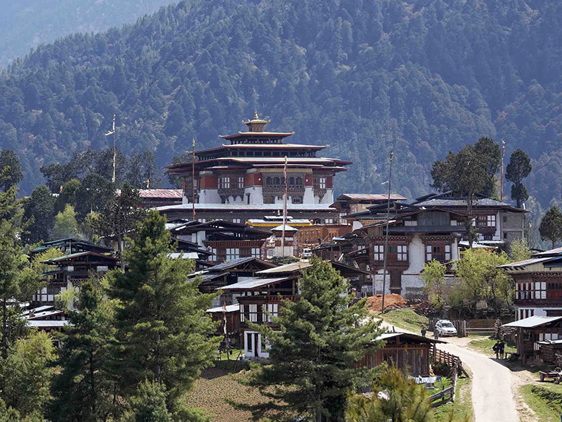 Serene Honeymoon Journey