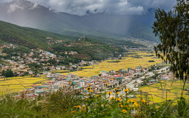 Perfect Location in Paro Valley